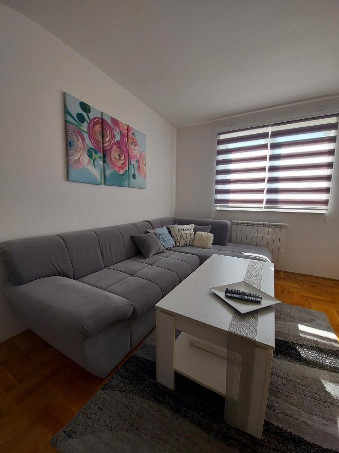 Apartman Victoria Lukavica Bagian luar foto